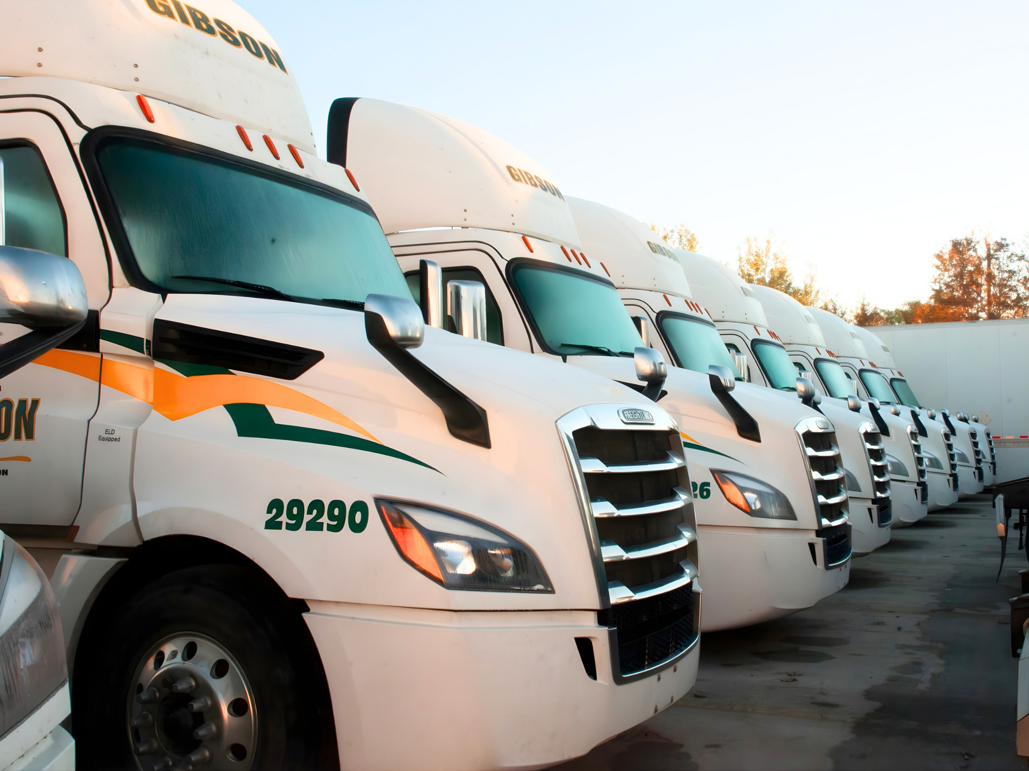 Warren Gibson Limited Just in Time Transport Fleet
